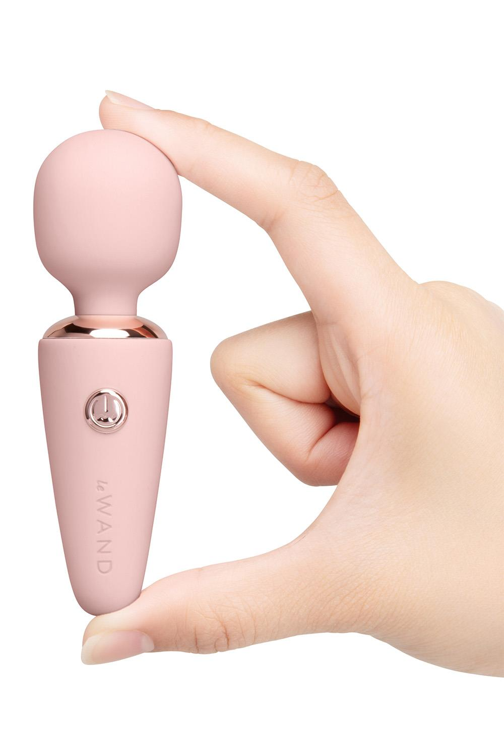 LE WAND MINI MICRO WAND RG